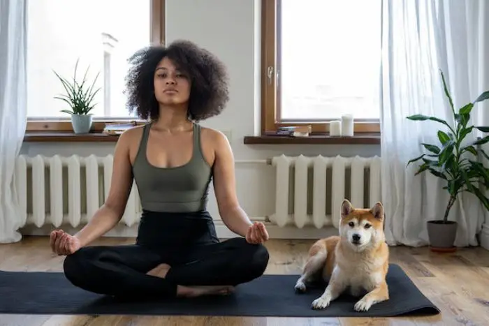 Yoga para iniciantes: veja como é fácil + 29 posições