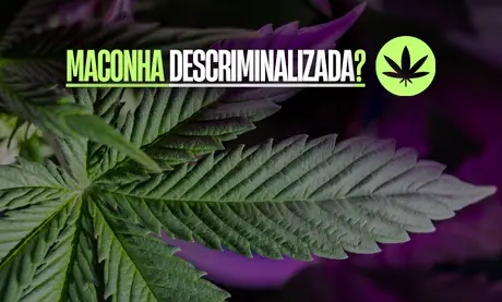 Maconha descriminalizada